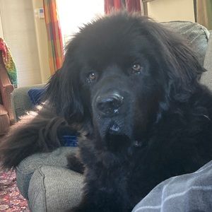 Meet your Posher, Ben